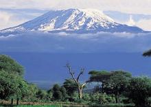 Pic _Kilimanajro